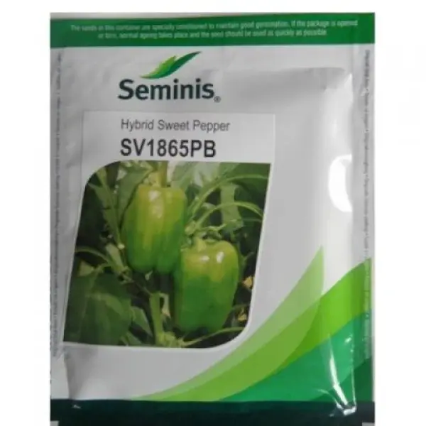 SEMINIS SV1865PB HYBRID GREEN CAPSICUM PEPPER | SEEDS