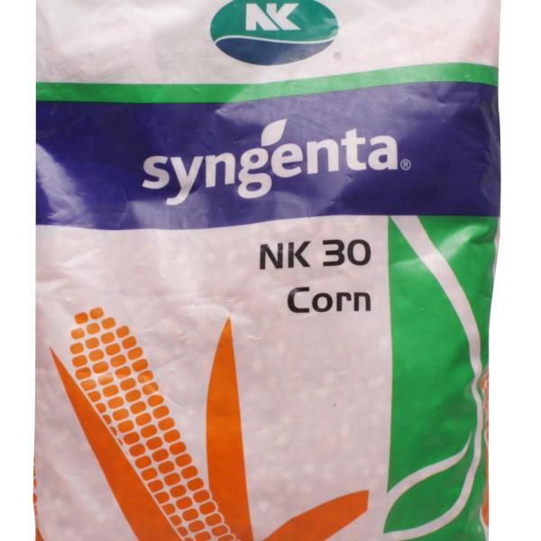 NK 7720 MAIZE (मक्का)