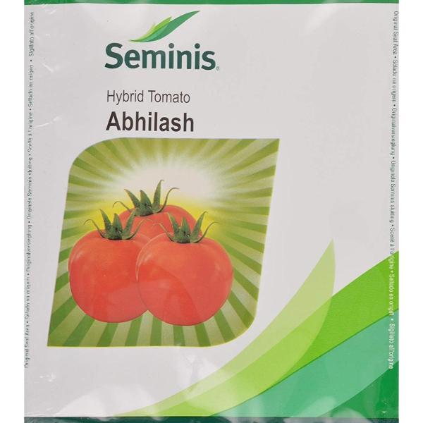 ABHILASH TOMATO SEEDS