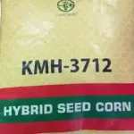 KMH 3712 CORN