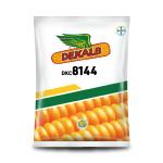 DEKALB 8144 CORN