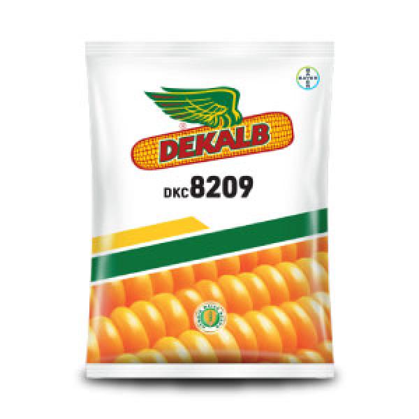 DEKALB 8209 CORN