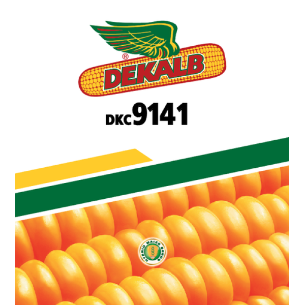 DEKALB 9141 CORN