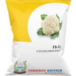 FB-51 CAULIFLOWER SEEDS