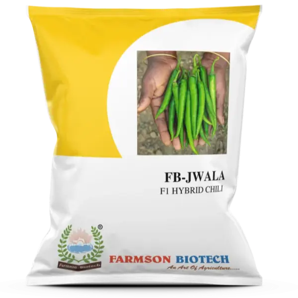 FB-JWALA F1 HYBRID CHILI SEEDS