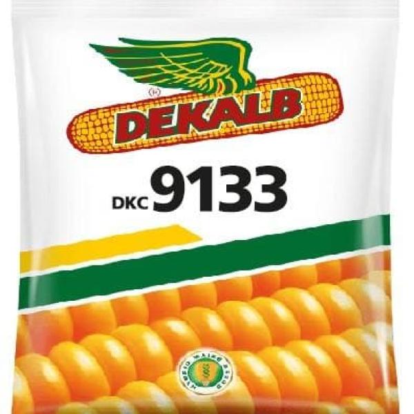 DEKALB 9133 CORN