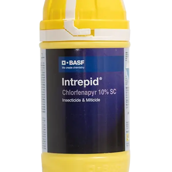 Intrepid Insecticide