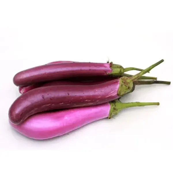 PURPLE LONG BRINJAL