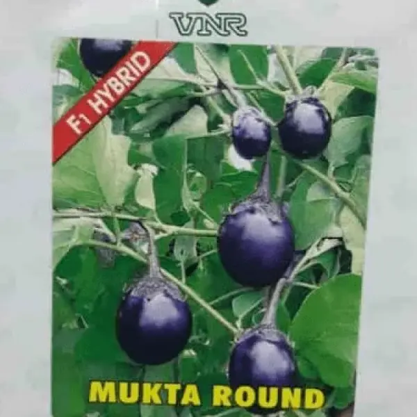 MUKTA ROUND BRINJAL