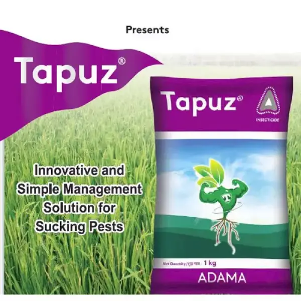 Tapuz Insecticide