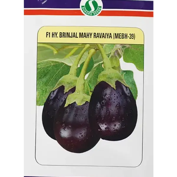 MAHY 205 BRINJAL