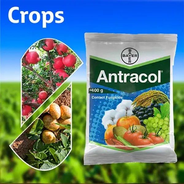 ANTRACOL FUNGICIDE