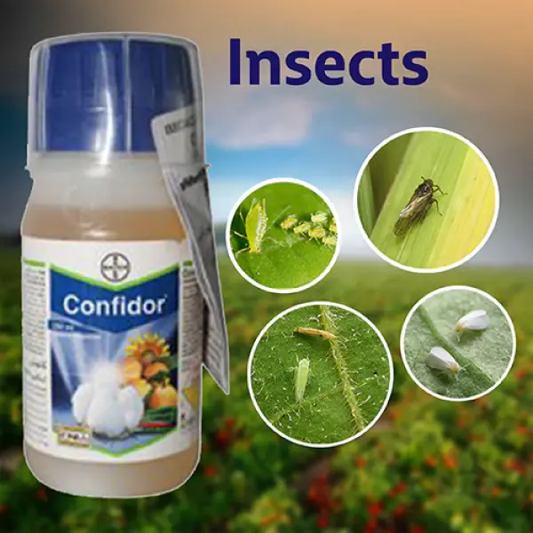 Confidor Insecticide