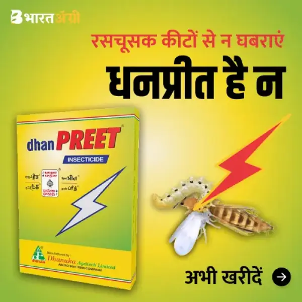 DHANPREET INSECTICIDE