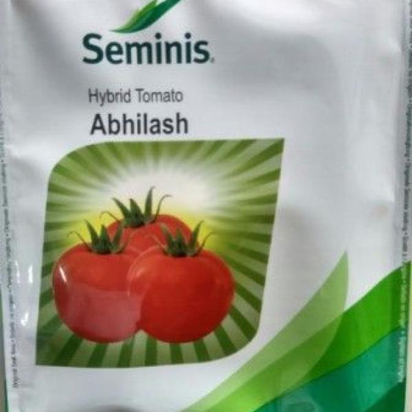 ABHILASH TOMATO SEEDS