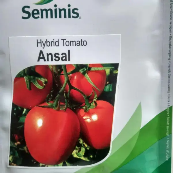 ANSAL TOMATO