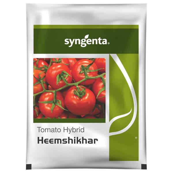 HEEMSHIKHAR TOMATO