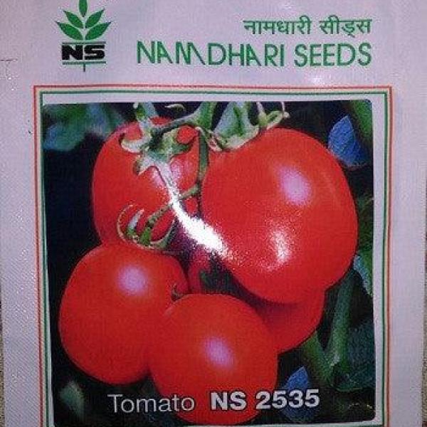 NS 2535 TOMATO SEEDS