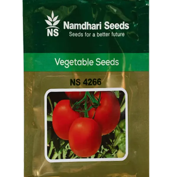 NS 4266 TOMATO