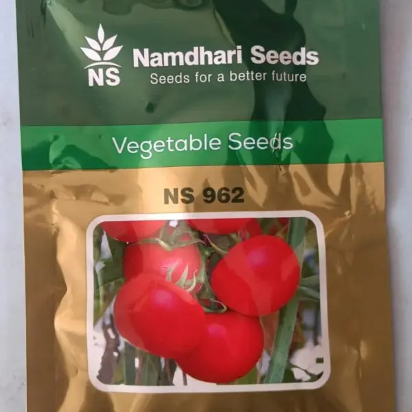 NS 962 TOMATO