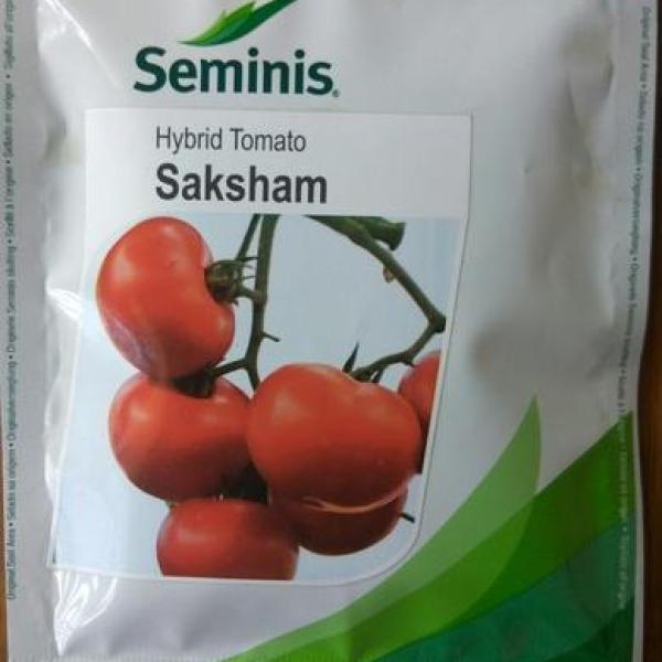 SAKSHAM TOMATO SEEDS