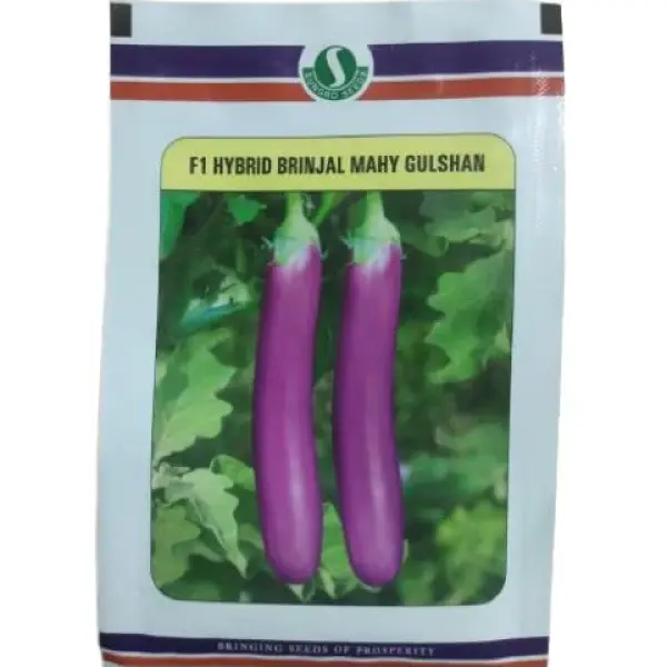 MAHY 106 BRINJAL