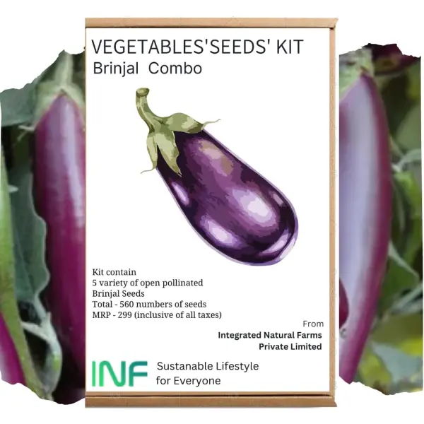 INF 5 VARIETY BRINJAL COMBO SEEDS