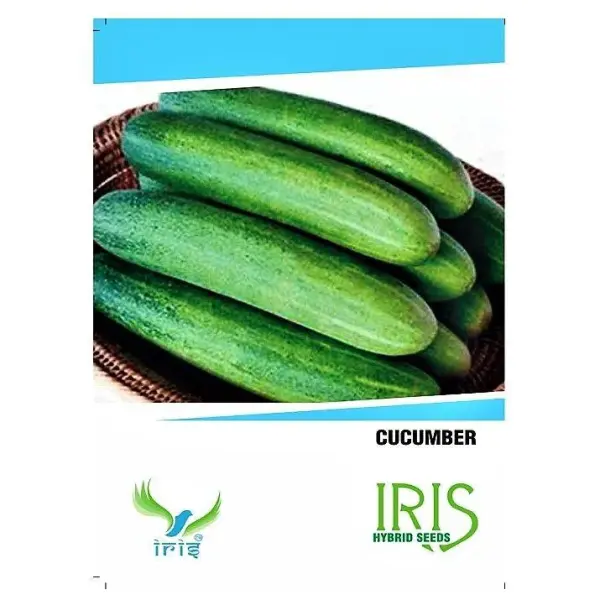 IRIS HYBRID CUCUMBER SEEDS VEGETABLE