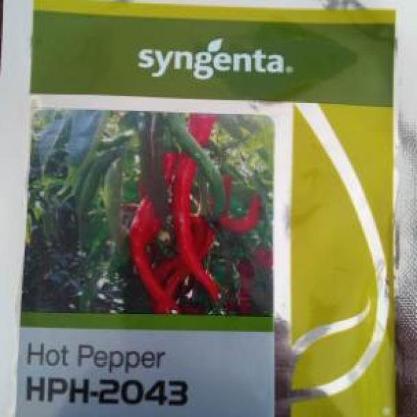 HPH 2043 CHILLI