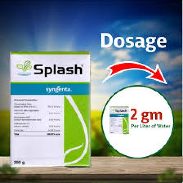 SPLASH FUNGICIDE