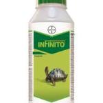 INFINITO FUNGICIDE