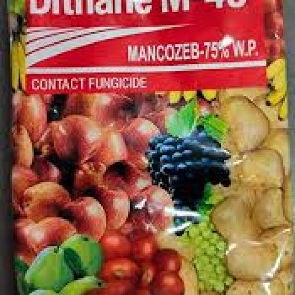 DITHANE M45 FUNGICIDE