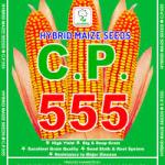 MAIZE-CP-555