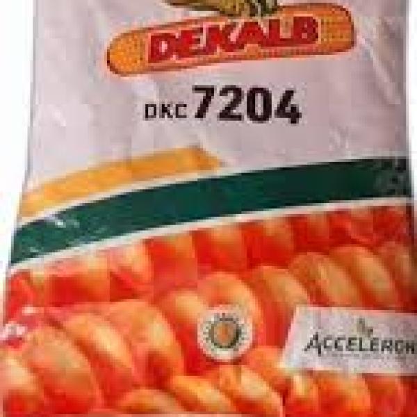 DEKALB 7204 CORN