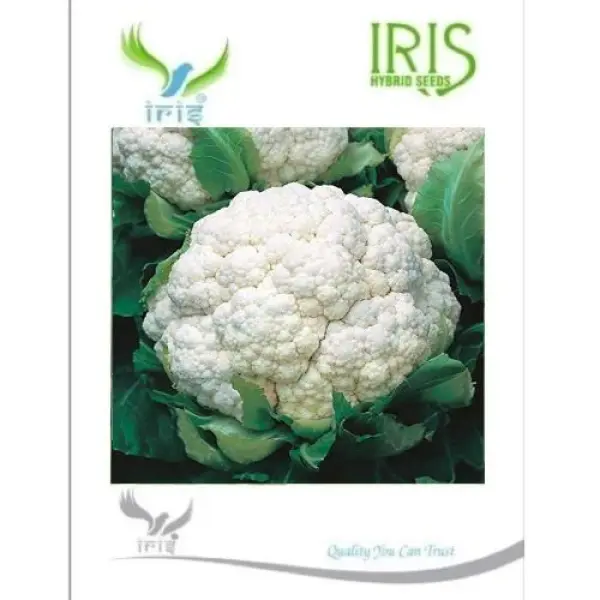 IRIS HYBRID VEGETABLE SEEDS CAULIFLOWER