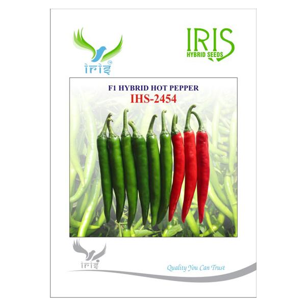 IRIS HYBRID VEGETABLE SEEDS F1 HYBRID HOT PEPPER (CHILLI) IHS-2454