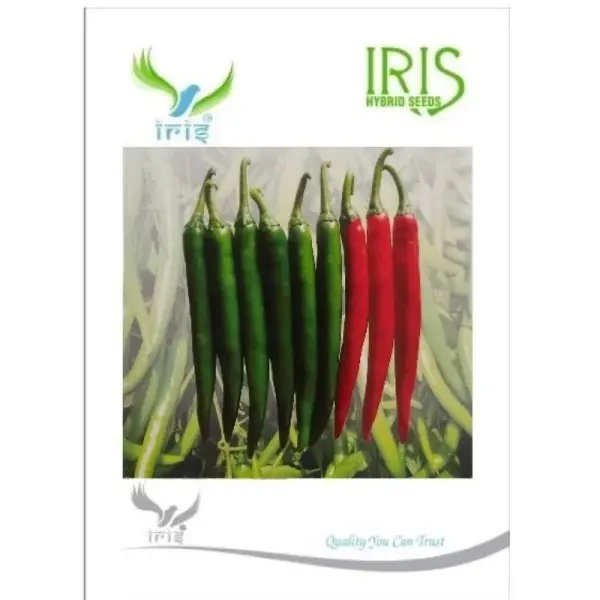 IRIS HYBRID VEGETABLE SEEDS GREEN CHILLI