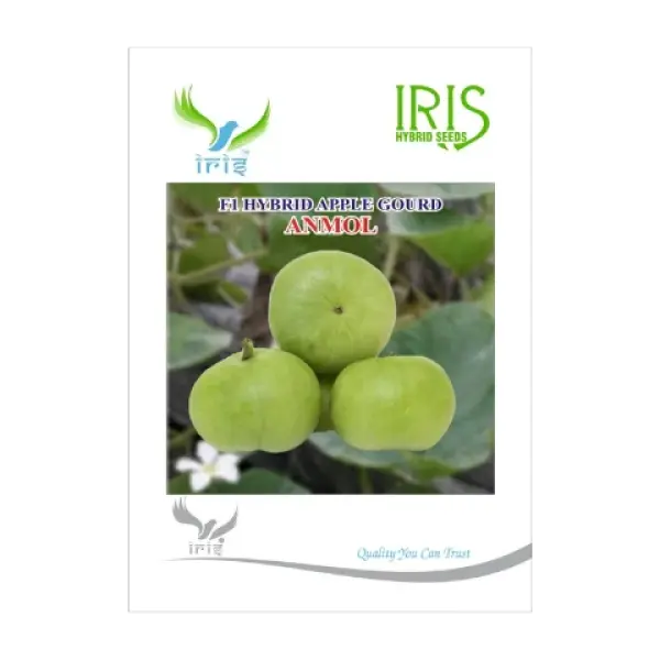 IRIS HYBRID F1 ANMOL APPLE GOURD (TINDA)