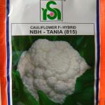 NBH - TANIA (815) CAULIFLOWER