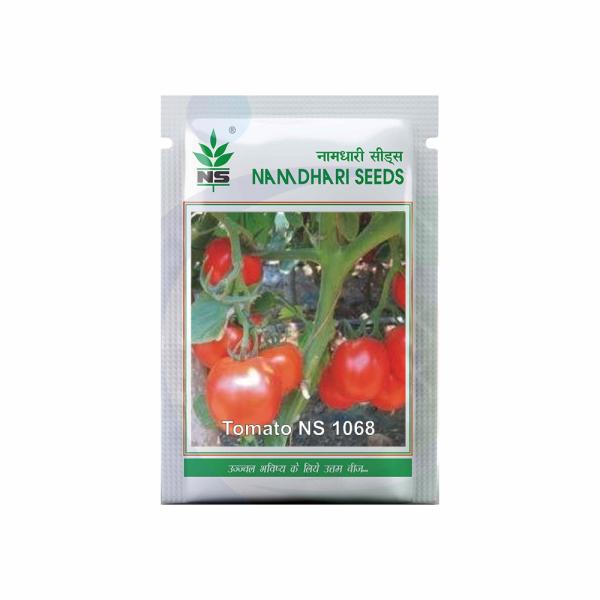 NS 1068 TOMATO