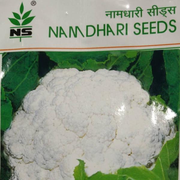 NS 131 CAULIFLOWER SEEDS