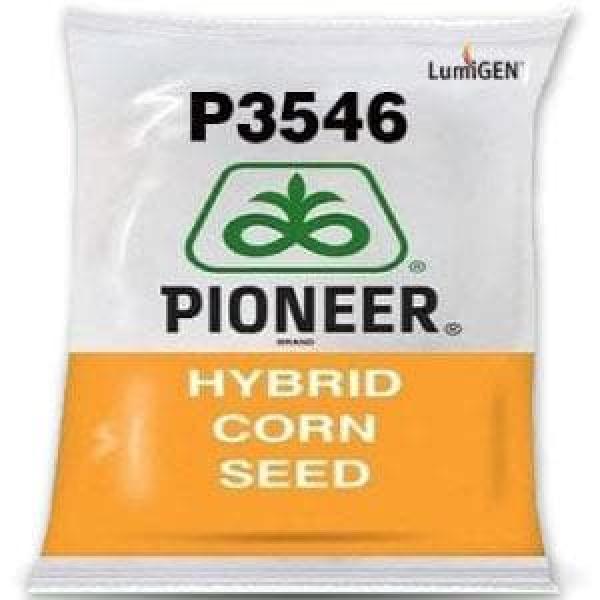 LUMIGEN P3546 CORN