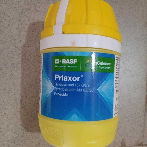 PRIAXOR FUNGICIDE