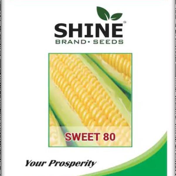 RISE AGRO RISE-303 SHINE HYBRID MAIZE SEEDS