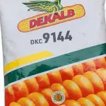 DEKALB 9144 CORN