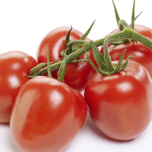 RUBY RED TOMATO