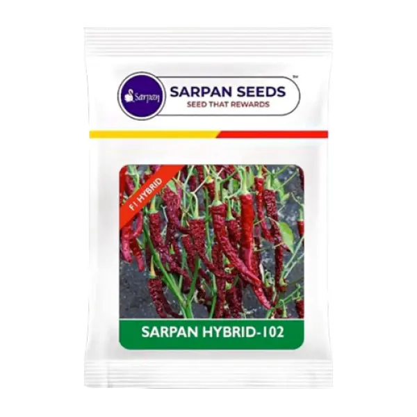 SARPAN - 102 BYADGI CHILLI