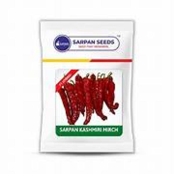 SARPAN KASHMIRI MIRCH SEEDS