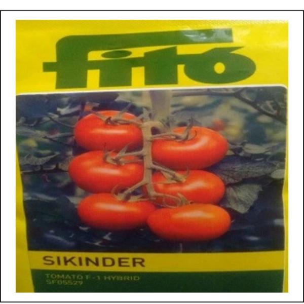 SIKINDER TOMATO