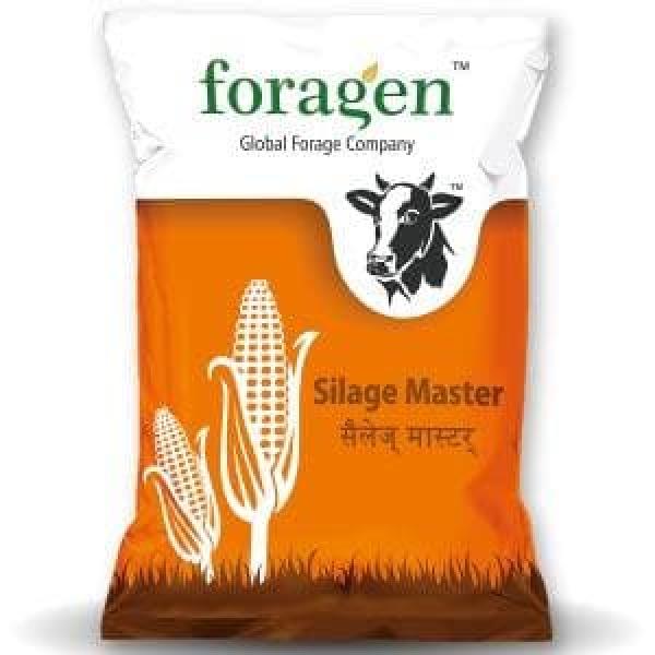 SILAGE MASTER ® 70 (70 DAYS SILAGE CORN SEEDS)